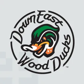Down east wood ducks